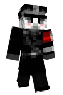 odngk Minecraft avatar full body