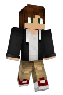 offLarry Minecraft avatar full body
