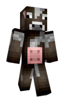 ofp9 Minecraft avatar full body