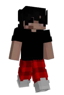 ohSpeeding Minecraft avatar full body