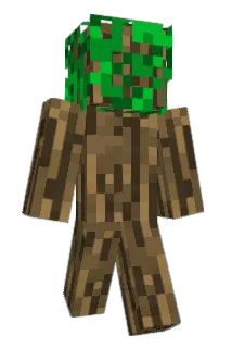 oiboy2000 Minecraft avatar full body