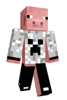 oinka100 Minecraft avatar full body