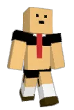 oinoman Minecraft avatar full body