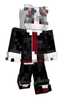 okRonald Minecraft avatar full body