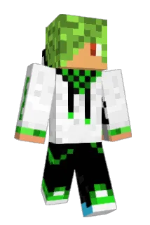 okecik Minecraft avatar full body