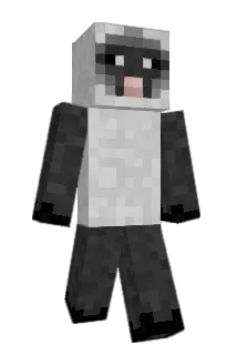 oktroll Minecraft avatar full body