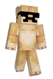ol_22 Minecraft avatar full body