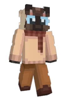 ol_e Minecraft avatar full body