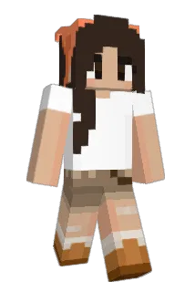 olc_ Minecraft avatar full body