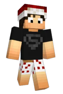 olii_29 Minecraft avatar full body