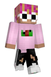 olle002 Minecraft avatar full body