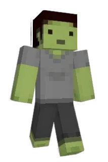 ollocks Minecraft avatar full body
