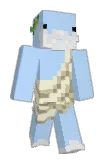 omlet7 Minecraft avatar full body