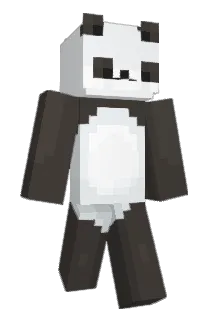 omochi3030 Minecraft avatar full body