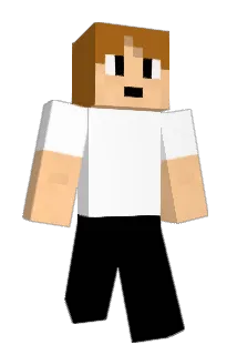 omochi39 Minecraft avatar full body