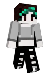 ondh1 Minecraft avatar full body