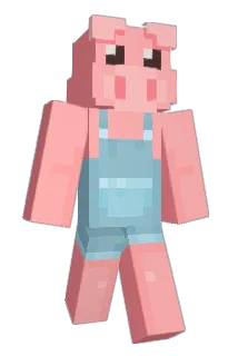 one1233 Minecraft avatar full body