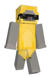 onejam Minecraft avatar full body