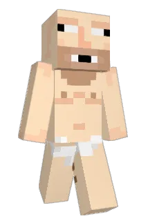 onexTM Minecraft avatar full body