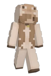 onyxot Minecraft avatar full body