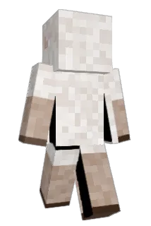 oopsiedaisee Minecraft avatar full body