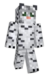 oopswrongplanet Minecraft avatar full body