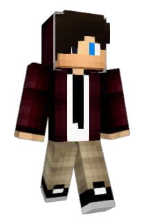 op1012 Minecraft avatar full body
