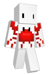 oppos1te Minecraft avatar full body