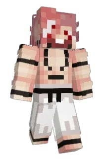oprahs Minecraft avatar full body