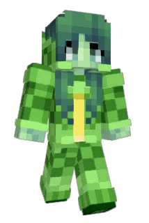 orangecook Minecraft avatar full body