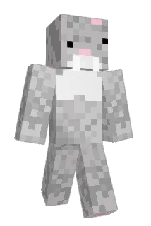 oranj Minecraft avatar full body