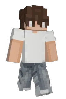 ord3rr Minecraft avatar full body
