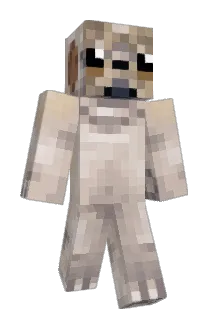 ordePek Minecraft avatar full body