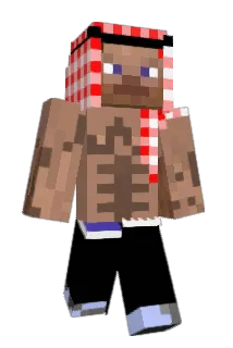 ornj_joos Minecraft avatar full body