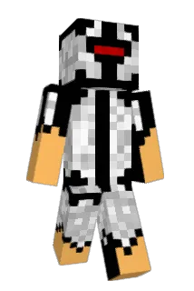 ortthe Minecraft avatar full body