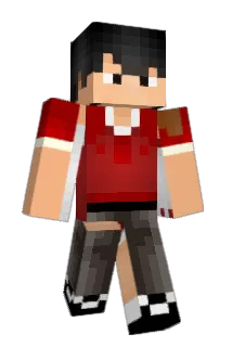otawood Minecraft avatar full body