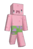 others Minecraft avatar full body