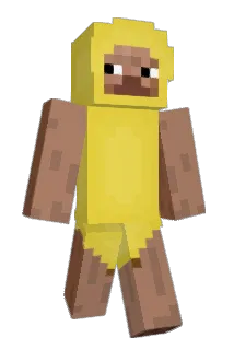 over1111 Minecraft avatar full body
