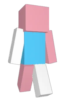 ow2asm Minecraft avatar full body
