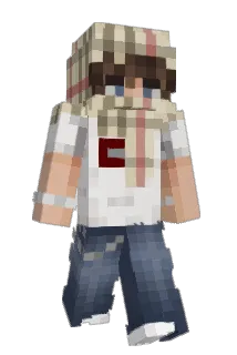p0pa17 Minecraft avatar full body