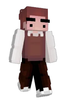 p17_ Minecraft avatar full body