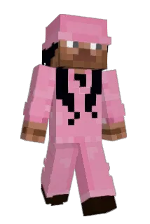 p1glin Minecraft avatar full body