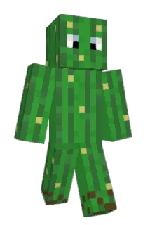 p1ncer Minecraft avatar full body