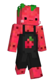 p1nks0d4 Minecraft avatar full body