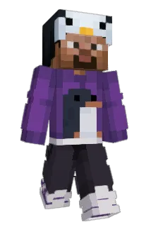 Minecraft-Avatar von p3nguiv: ganzer Körper