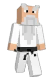 p4lmer20 Minecraft avatar full body