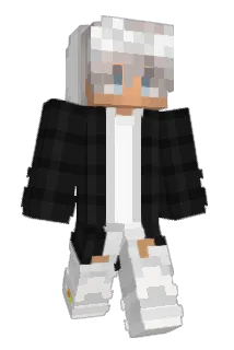 p66la1v Minecraft avatar full body