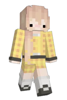 p6each Minecraft avatar full body