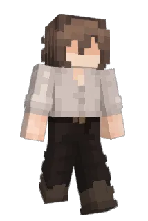 p9b Minecraft avatar full body