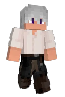 pINAHH Minecraft avatar full body